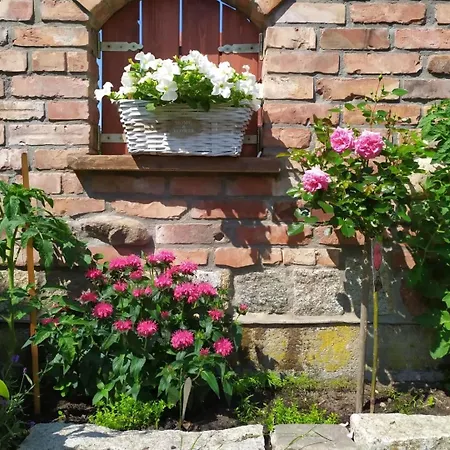 Jana Guest house